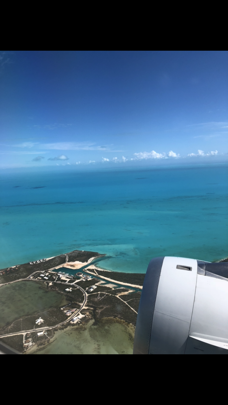 Airplane View